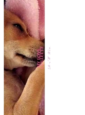 预订 My Love, Collette: 9781500745837