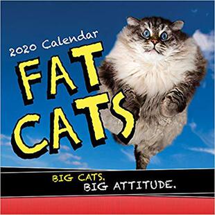 【预售】2020 Fat Cats Wall Calendar: Big Cats. Big Cattitude.