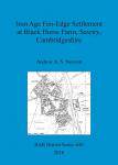 [预订]Iron Age Fen-Edge Settlement at Black Horse Farm, Sawtry, Cambridgeshire 9781407316574