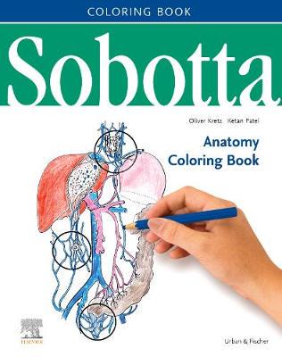 【预订】Sobotta Anatomy Coloring Book ENGLISCH/LATEIN 9780702052781
