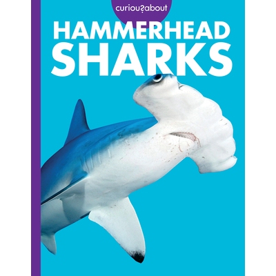 预订 Curious about Hammerhead Sharks 9798892005050