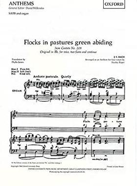 【预订】Flocks in pastures green abiding