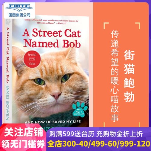 一只名叫鲍勃的街头流浪猫英文原版街猫bob英文版 A Street Cat Named Bob进口原版-封面