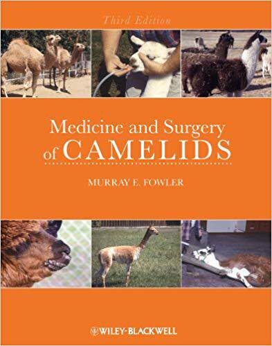 【预售】Medicine and Surgery of Camelids