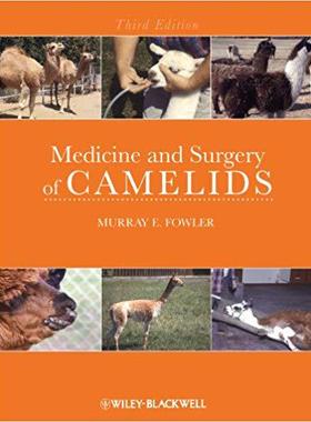 【预售】Medicine and Surgery of Camelids