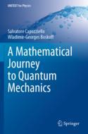 【预订】A Mathematical Journey to Quantum Mechanics 9783030861001