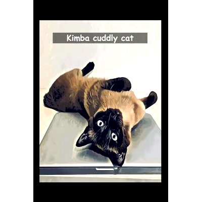 预订 Kimba cuddly cat: A bedtime story: 9781792179259