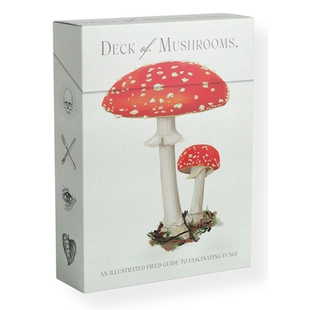 Mushrooms field The 蘑菇甲板：迷人真菌 9781922754 预订 fungi Deck guide illustrated 图解实地指南 fascinating
