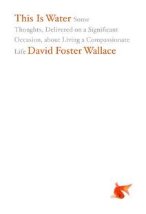 现货 英文原版 生命中简单又困难的事 大卫·福斯特·华莱士 David Foster Wallace: This Is Water