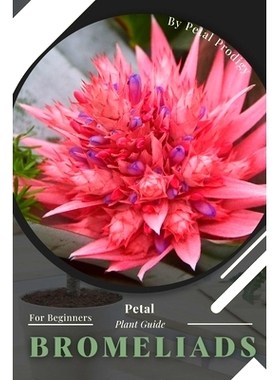 预订 Bromeliads: Prodigy Petal, Plant Guide: 9798386649036