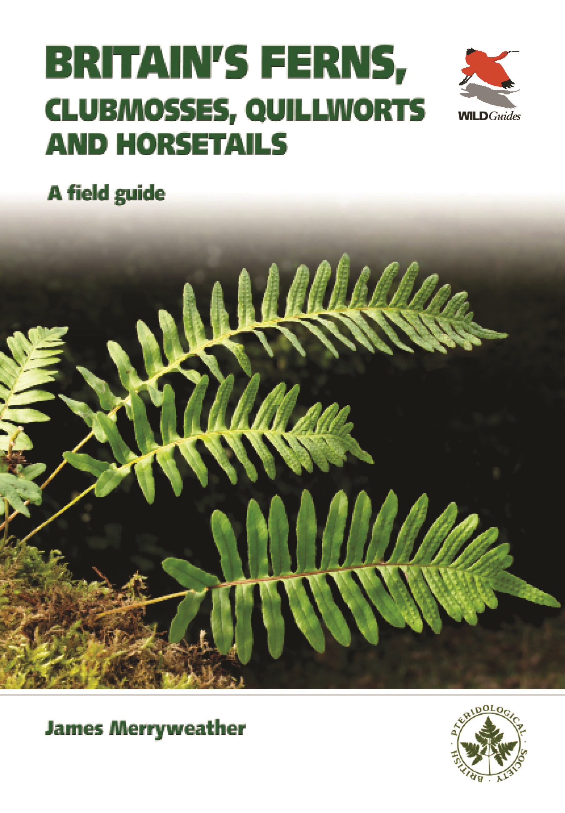 【预订】Britain’s Ferns: A Field Guide to the Clubmosses, Quillworts, Horsetails and Ferns of Great Britain and Ir...