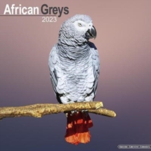 【预订】African Greys 2023 Wall Calendar 9781839417825