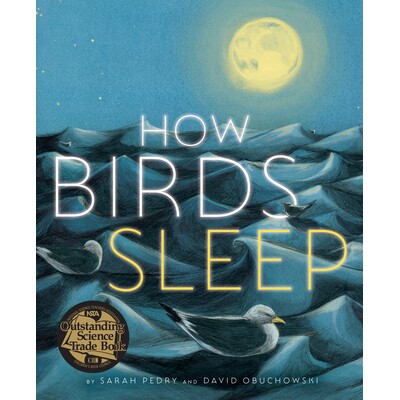 预订 How Birds Sleep 鸟儿如何睡觉: 9781662650970