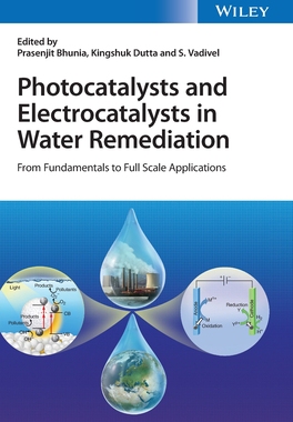 [预订]Photocatalysts And Electrocatalysts In Water Remediation