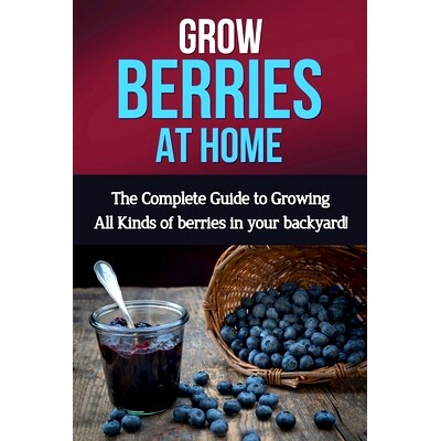 预订 Grow Berries At Home: The complete guide to growing all kinds of berries in your backyard!: 9781761030529