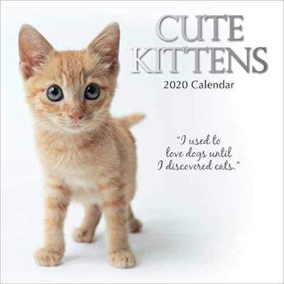 【预售】Cute Kittens : 2020 Square Wall Calendar