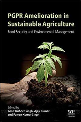 【预售】PGPR Amelioration in Sustainable Agriculture