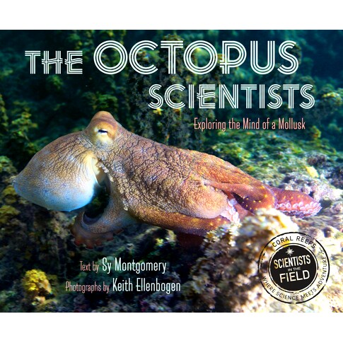 预订 The Octopus Scientists: 9780358569749