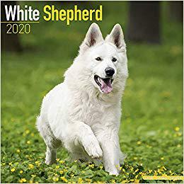 美国库房发货,通常付款后5-8周到货!