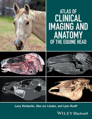 【预订】Atlas Of Clinical Imaging And Anatomy Of The Equine Head