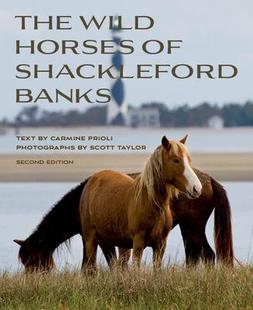 Shackleford 预订 Horses Banks Wild