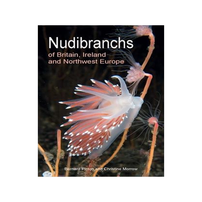 现货Nudibranchs of Britain, Ireland and Northwest Europe 9780691208794