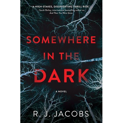 预订 Somewhere in the Dark 黑暗中的某个地方: 9781643853000