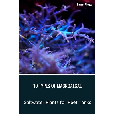 预订 10 Types of Macroalgae: Saltwater Plants for Reef Tanks: 9798876161079