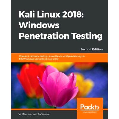 Windows Penetration Testing