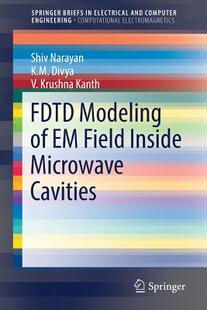 【预订】FDTD Modeling of EM Field inside Microwave Cavities
