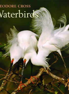 预订 Waterbirds 海鸟: 9780393072266