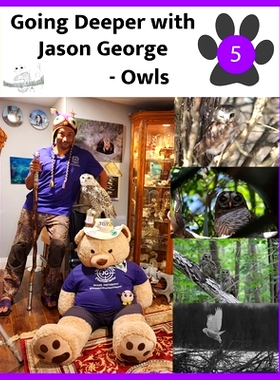 预订 Owls - Going Deeper with Jason George: 9781738099573