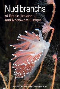 现货Nudibranchs of Britain, Ireland and Northwest Europe 9780691208794