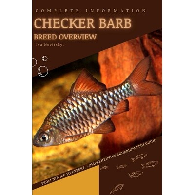 预订 Checker Barb: From Novice to Expert. Comprehensive Aquarium Fish Guide: 9798399481609