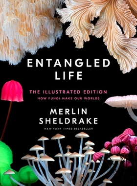 预订 Entangled Life: The Illustrated Edition: How Fungi Make Our Worlds