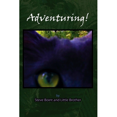 预订 Adventuring!: 9798332018312