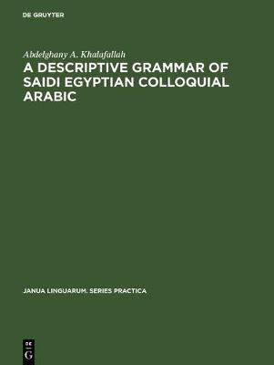 【预订】A descriptive grammar of saidi Egyptian colloquial Arabic 9783111000664