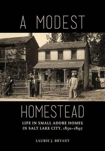 国外库房发货，通常付款后5-8周到货！