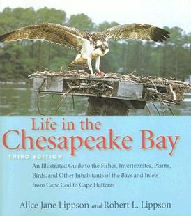预售 Chesapeake Life the Bay