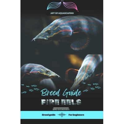 预订 Fire Eels: Art of Aquascaping: Designing Stunning Environments for Aquarium Fish: 9798332733123