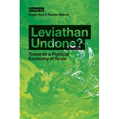 Towards a Political Economy of Scale