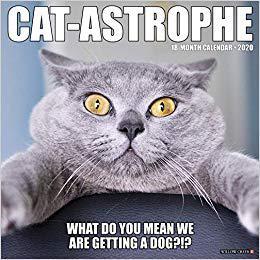 【预售】Cat-Astrophe 2020 Wall Calendar