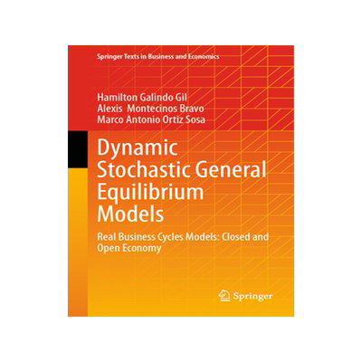 现货 Dynamic Stochastic General Equilibrium Models