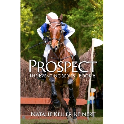 预订 Prospect: 9781087947563