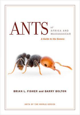 [预订]Ants of Africa and Madagascar 9780520290891-封面