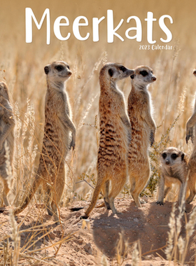 【预订】2023 Meerkats Wall Calendar 9781839418105