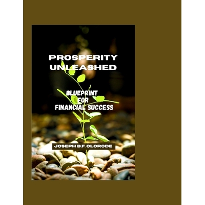 预订 Prosperity Unleashed: Blueprint for Financial Success: 9798863432373