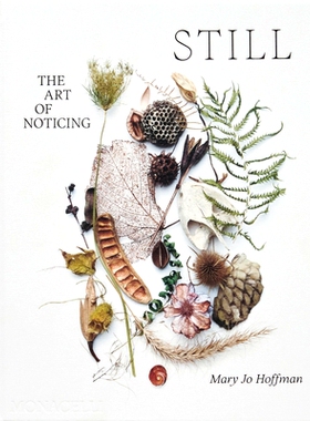 预订 STILL: The Art of Noticing 仍然: 9781580936330