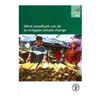 预订 What Woodfuels Can Do to Mitigate Climate Change 木燃料能为减轻气候变化做些什么: 9789251066539