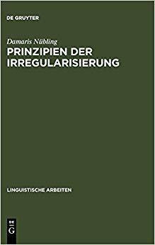 【预订】Prinzipien der Irregularisierung 9783484304154
